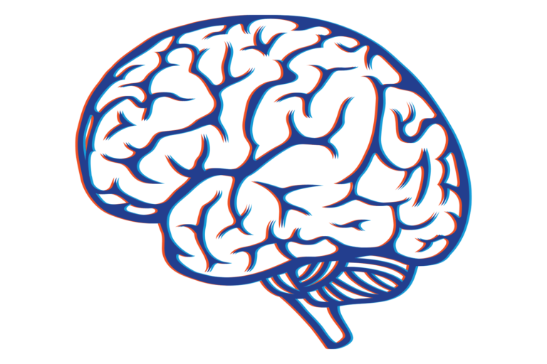 Experienced Concussion and Brain Injury Attorneys