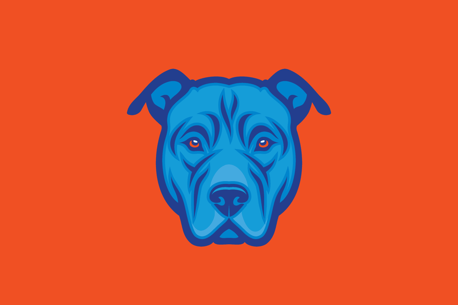 Experienced Car Accident Injury Law Firm Takes Control